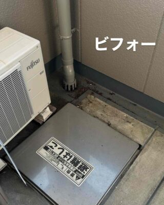 250AC49D-BC52-4ED2-BDC2-79F52C860908.jpg