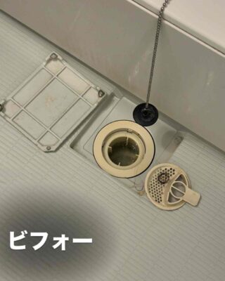BC8E5019-ED8C-45C3-A4F7-486A331C999B.jpg