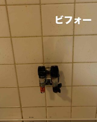 86536630-2006-4561-82B5-956248103FBC.jpg