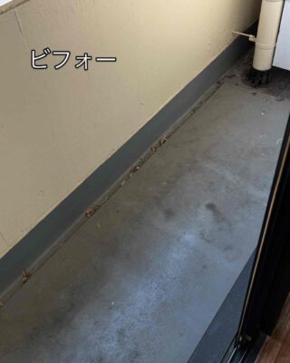308DF6C0-2300-4766-A194-4FE1FC626799.jpg
