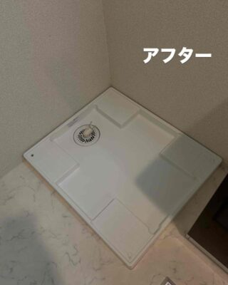 4B3C4D4B-D71E-487F-90D6-D245191F236E.jpg