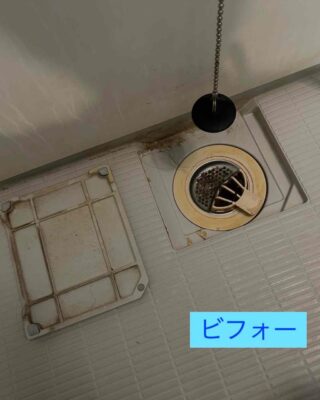 8A436DBE-DED8-4F9B-A6B4-419A405BF7F7.jpg