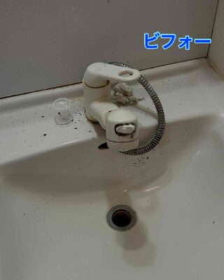 233DCE58-D972-47E9-9AE5-7902CEC5EE3D.jpg